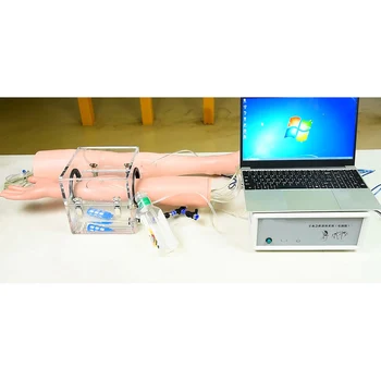 Interaktyvus Viršutinių ir apatinių Galūnių Kraujavimas ir bandaging greitosios Pagalbos Mokymo Sistema(PC versija)